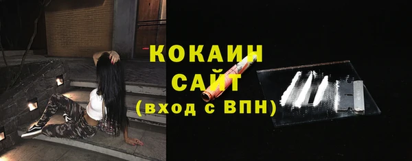 прущий лед Алзамай