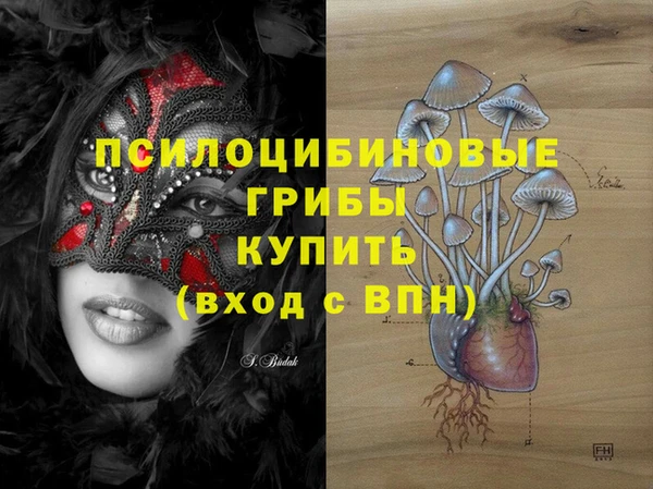 прущий лед Алзамай