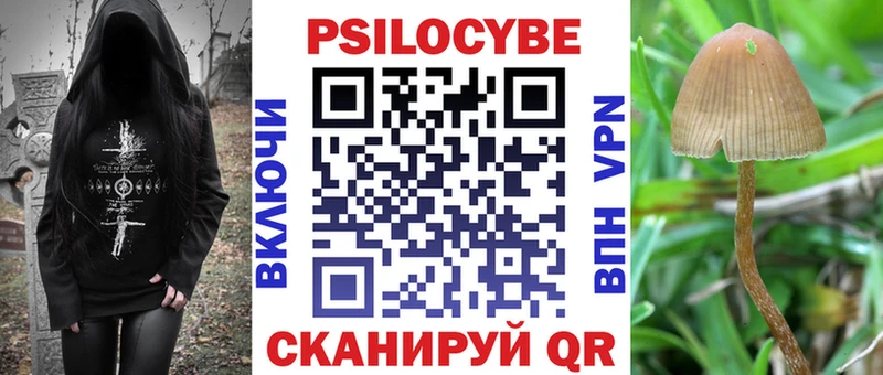где купить наркотик  Сасово  Псилоцибиновые грибы мицелий 